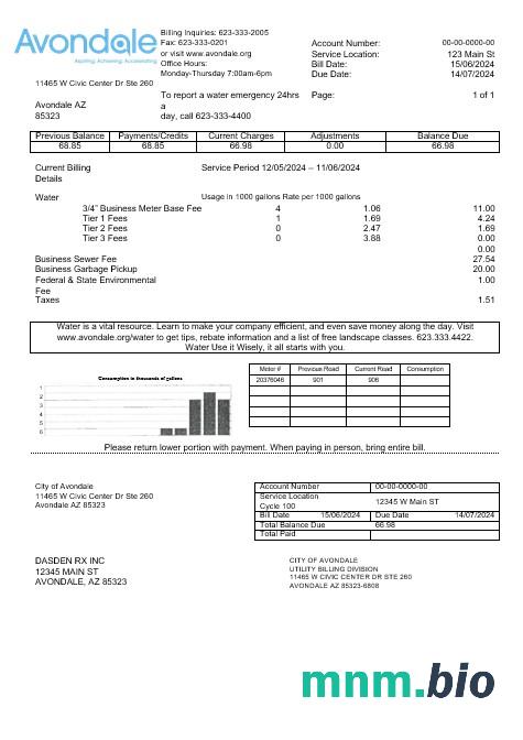 USA Arizona Miasto Avondale water rachunek za usługi komunalne szablon w formacie Word i PDF
